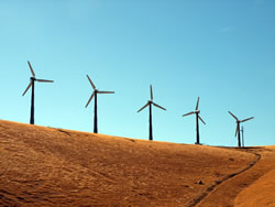 Wind Turbines In A Wind Farm